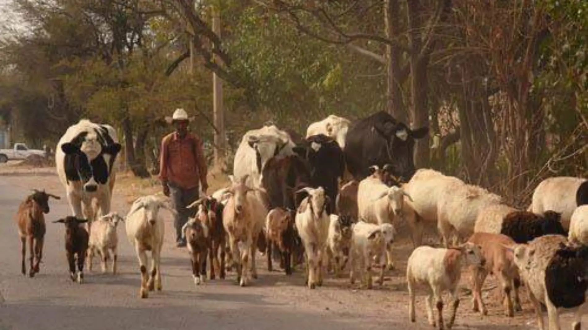 SEGURIDAD CAMPO (3)